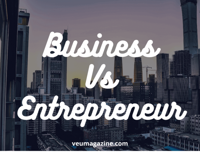 business-vs-entrepreneur-by-veumagazine-1